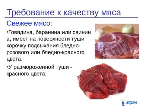 Мусульманские требования к качеству мяса из магазина