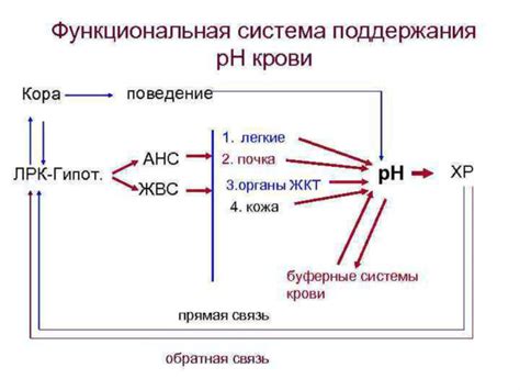 Нарушение естественного pH-баланса кожи