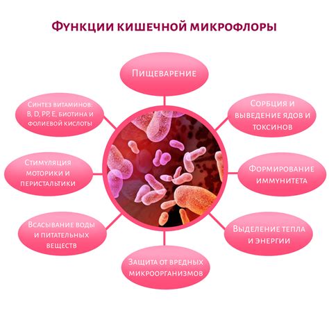 Нарушение микрофлоры организма