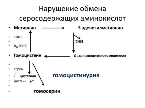 Нарушение ферментативного процесса