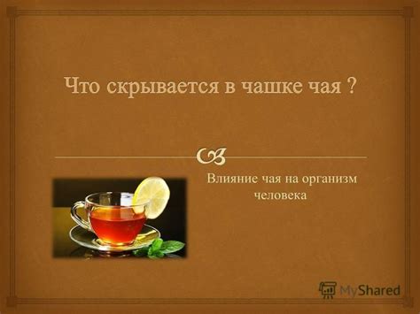 Научное обоснование воздействия чая с молоком на организм