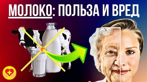Научные исследования о влиянии вина на молоко