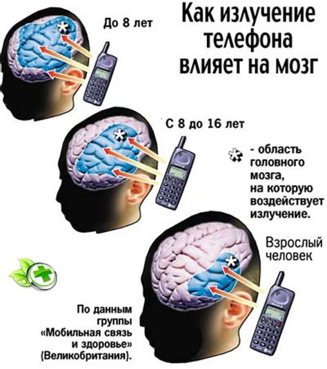 Научные факты о влиянии зарядки телефона на здоровье