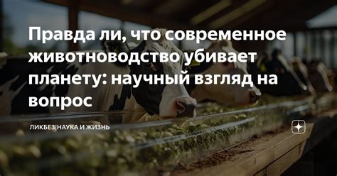 Научный взгляд на вопрос
