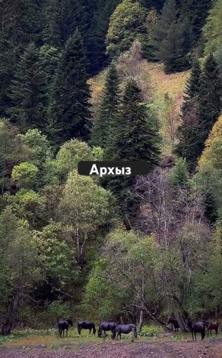 Находить смысл в малых радостях