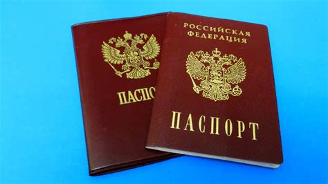Негативные стороны использования паспорта