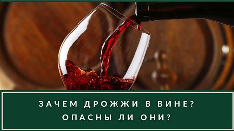 Недостатки добавления турбо дрожжей в вино
