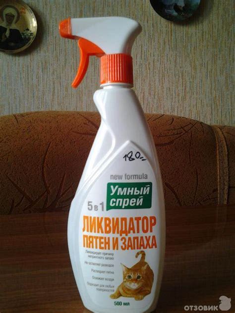 Нейтрализация запаха мета кота в квартире