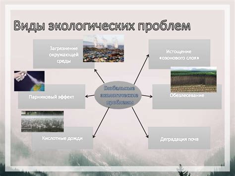 Необходимость верной оценки экологических проблем