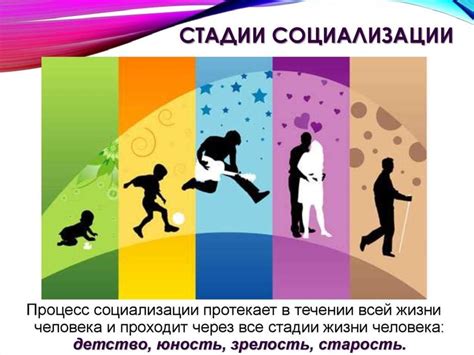 Необходимость в социализации и тренировке