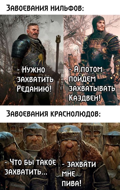 Нильфгаардцы и их роль в игре