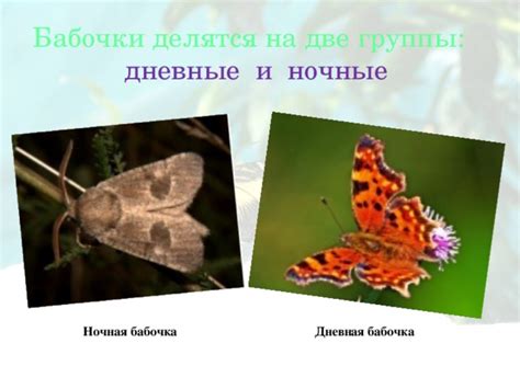 Ночные и дневные посещения: основные различия