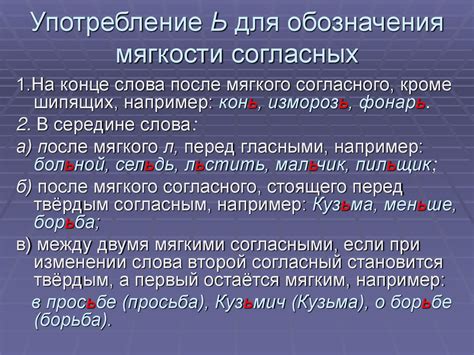Нужно ли придерживаться правил употребления мягкого знака