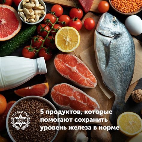 Обеспечение нормального функционирования организма