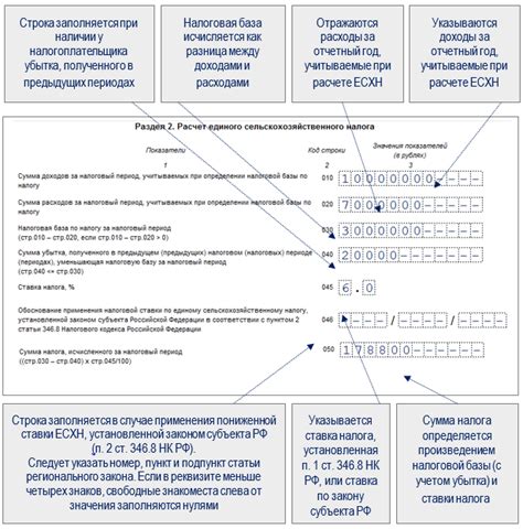 Обязательность сдачи бухгалтерской отчетности по ЕСХН