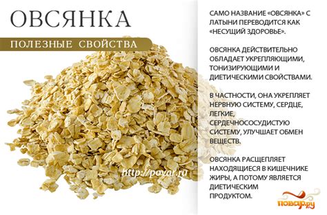Овсянка с молоком: полезные свойства и состав