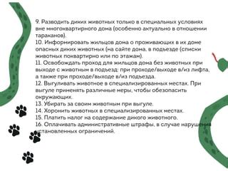 Ограничения на употребление диких животных