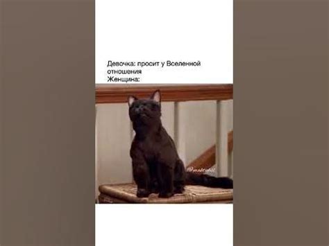 Он становится защитником