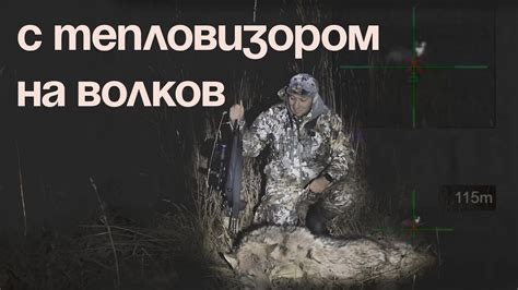 Опасные аспекты охоты на волка с тепловизором