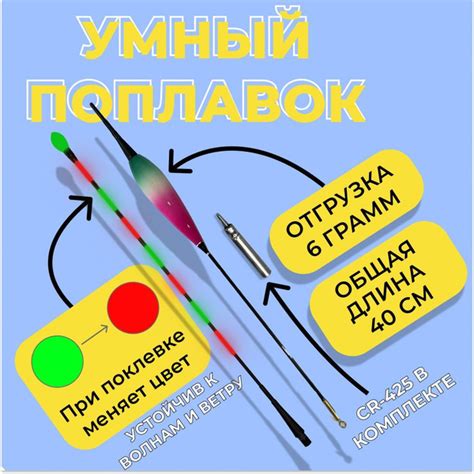 Описание ночной рыбалки