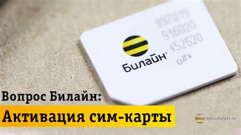 Оплата и активация номера телефона Билайн
