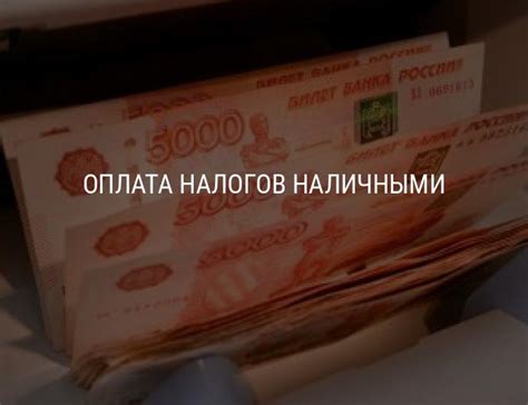 Оплата налогов наличными: ответы на вопросы