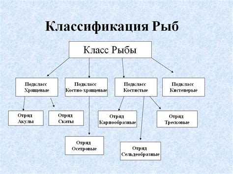Определение и классификация