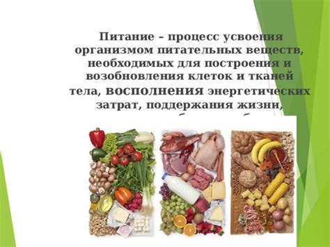 Определение необходимых питательных веществ