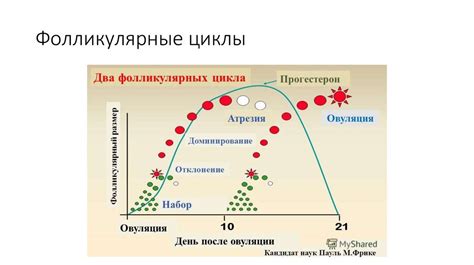 Определение оптимального времени размораживания