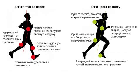 Оптимальное время для бега после тренировки ног