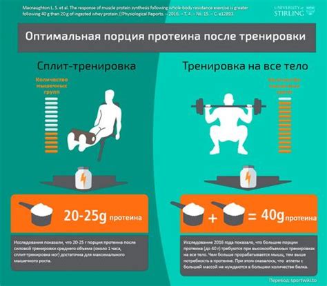 Оптимальное время приема протеина