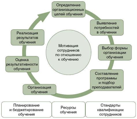 Организация обучения и развития персонала