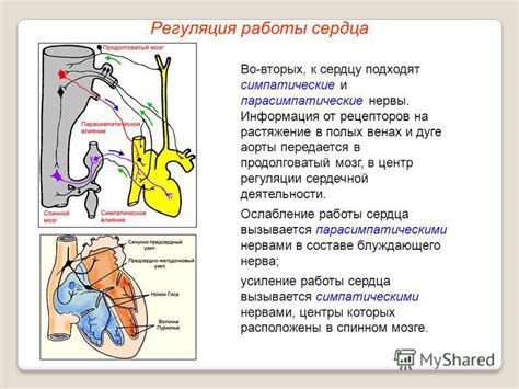 Ослабление сердечной деятельности