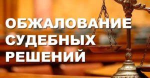 Основания для обжалования судебного решения