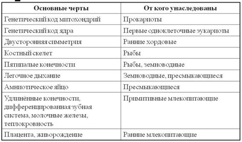 Основные отличия и сходства между играми