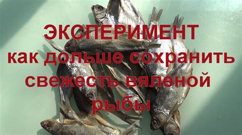 Основные правила для высушивания вяленой рыбы в микроволновке