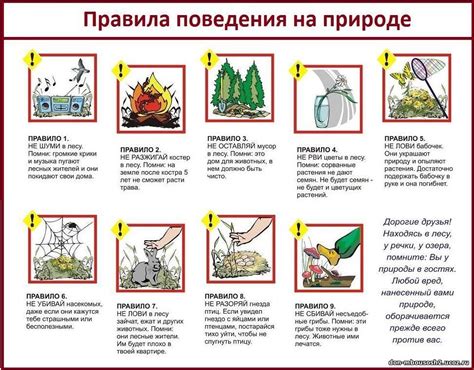 Основные принципы бивуакирования в лесу