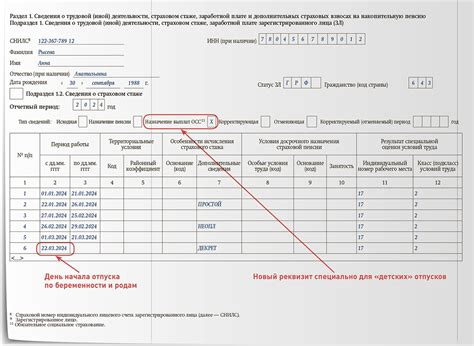 Основные сведения о декретных отпусках