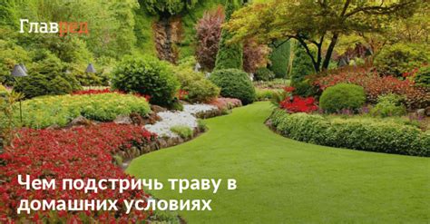 Основные советы для садоводов: