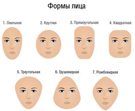 Основные типы лиц