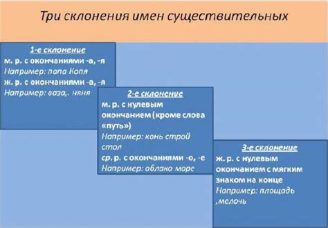 Основные функции существительного