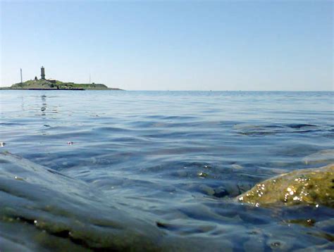 Особенности воды Черного моря