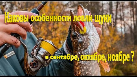 Особенности ловли щуки в октябре