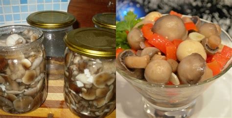 Особенности маринования грибов