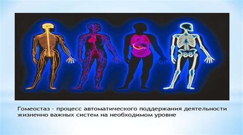Особенности организма, чувствительного к известковым осадкам
