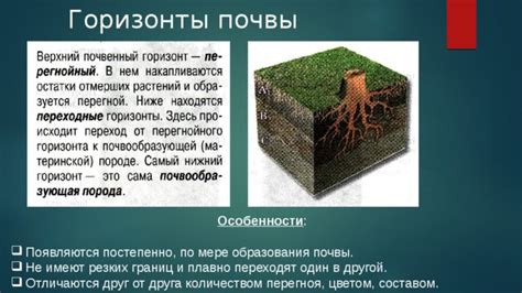 Особенности перегноя
