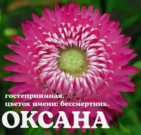 Особенности празднования имени Оксана