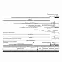 Особенности применения формы 0306006