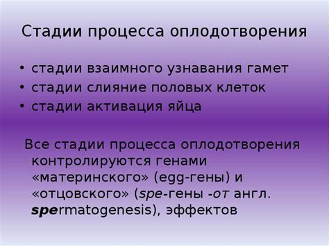 Особенности процесса узнавания