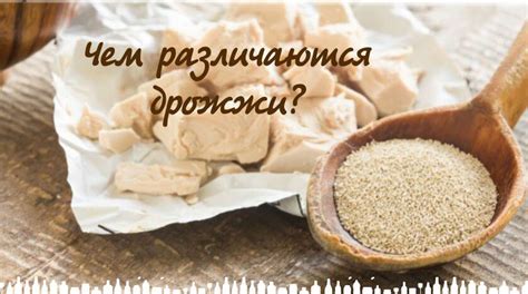 Особенности светлого хранения браги